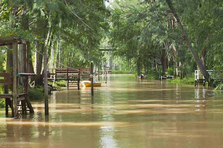 Delta Tour by Boat and Guided Tigre City Tour including Dinner and Tango Show