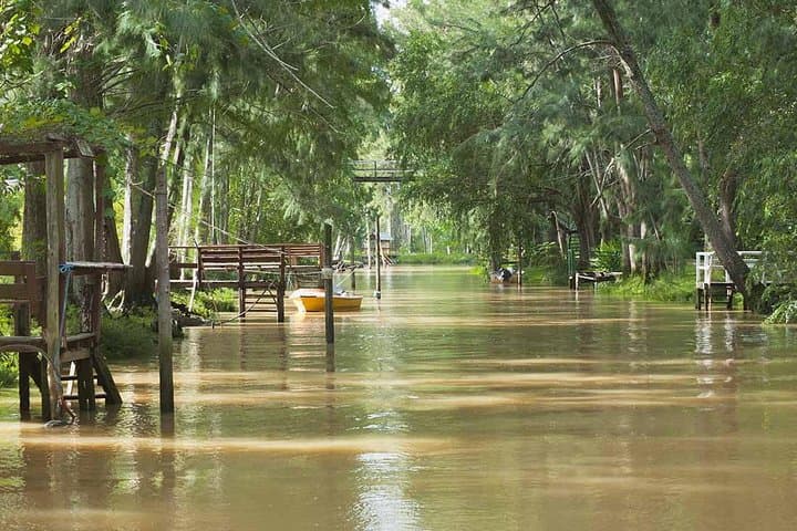 Delta Tour by Boat and Guided Tigre City Tour including Dinner and Tango Show
