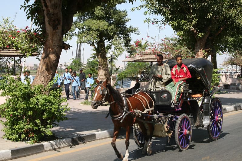 City Tour by Horse Carriage - Hantour