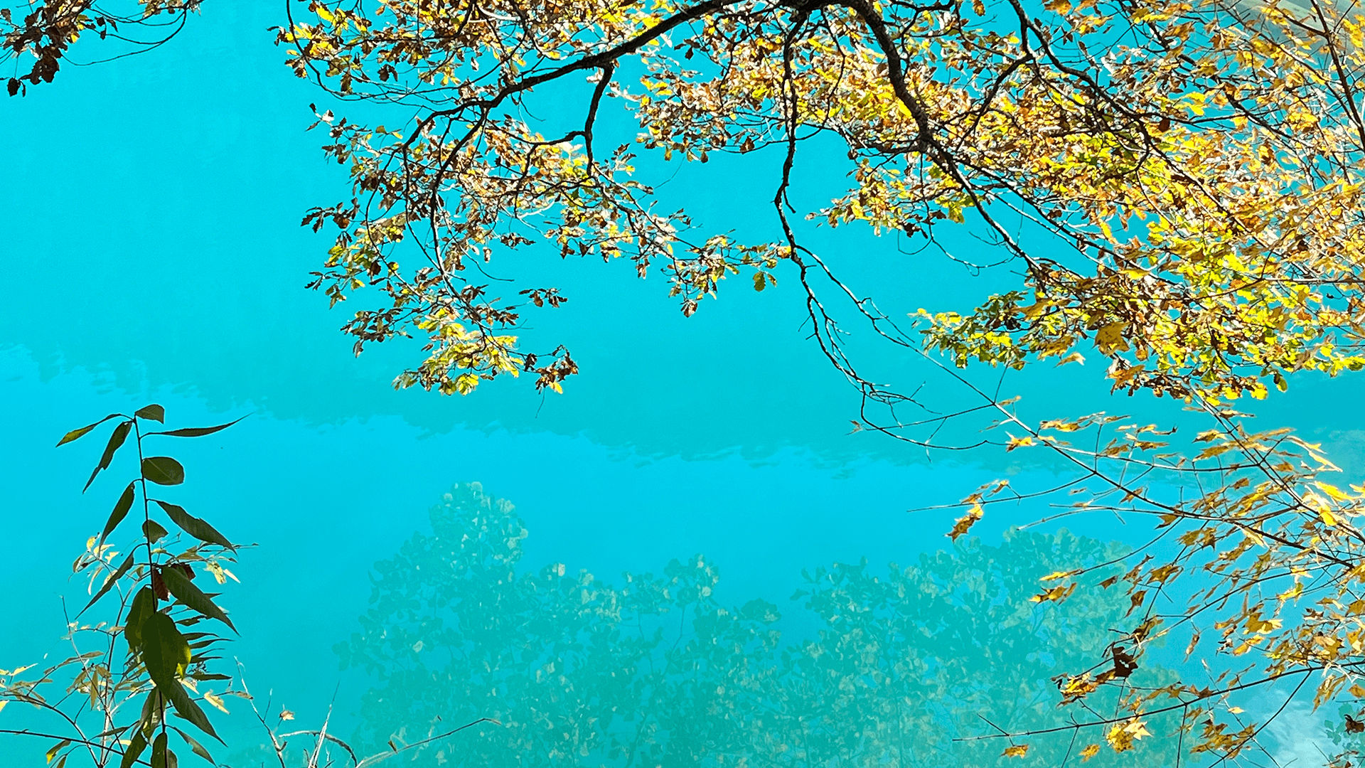 Jiuzhaigou Bullet Train Day Trip: Scenic Wonders in One Day