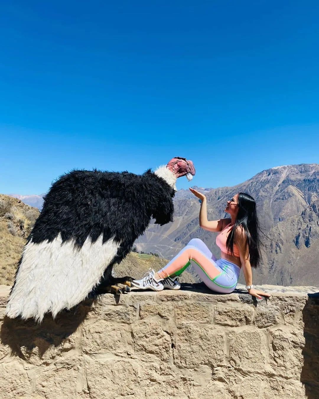 Pun-05 : Colca Canyon Discovery - 2 days Journey