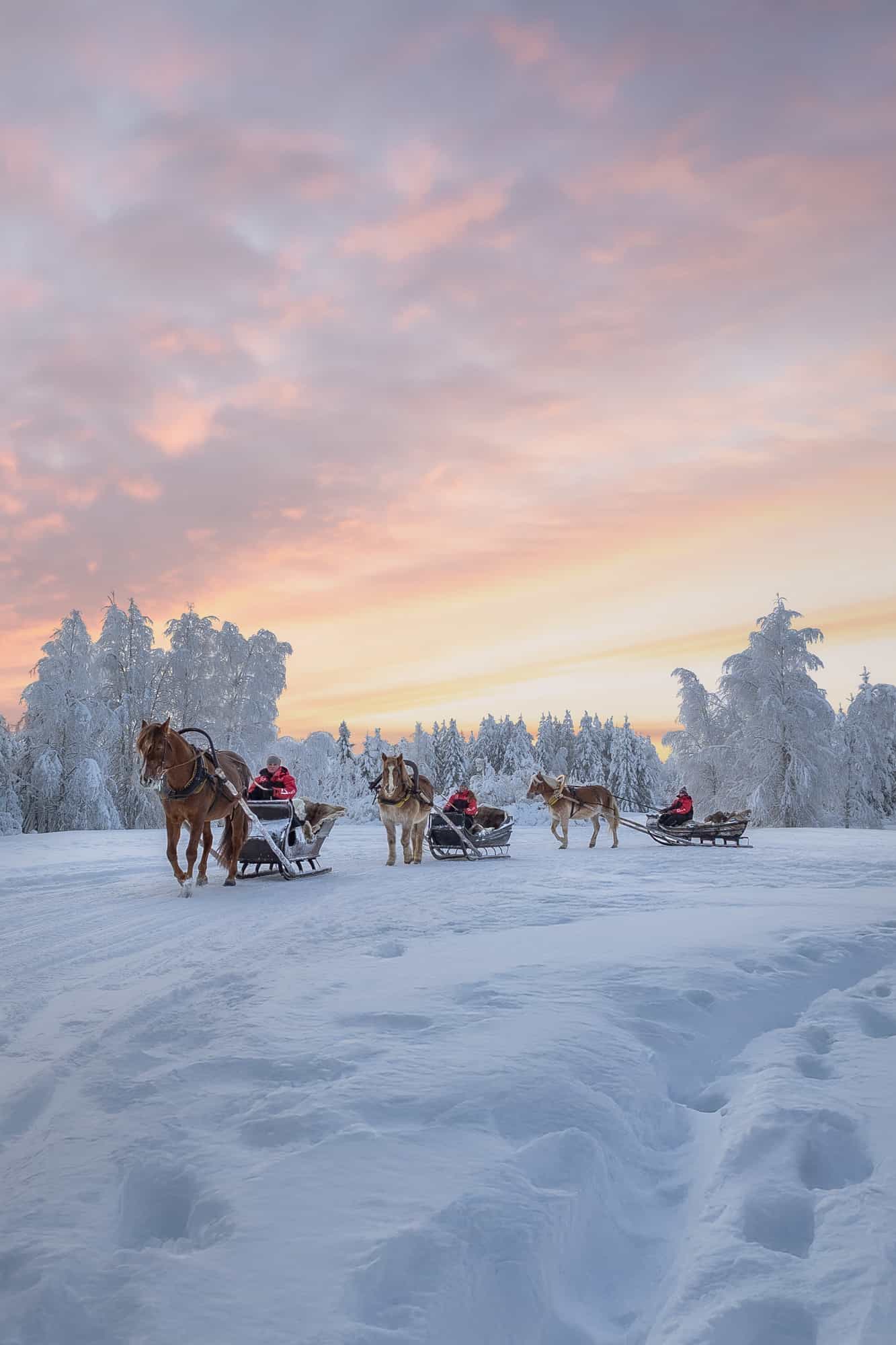 Magical Sleigh Ride along Santa's Paths