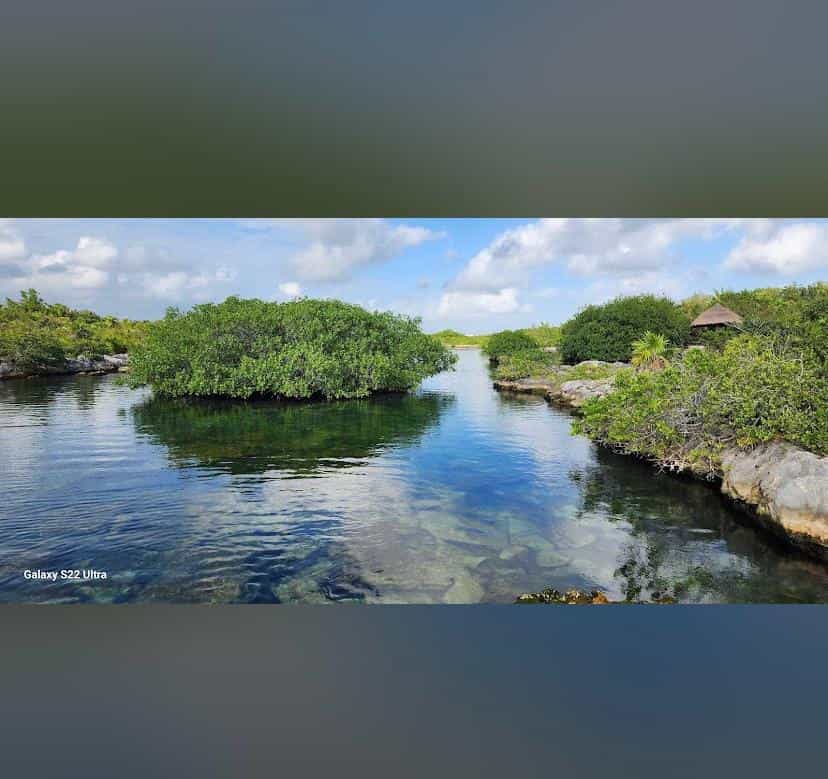 SNORKELING PRIVADO, AGUAS CRISTALINAS EN LAGUNA YALKU AKUMAL