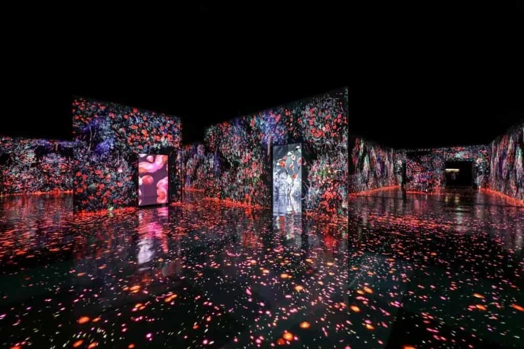 Dubai Arte Museum: The Soul of Modern Art