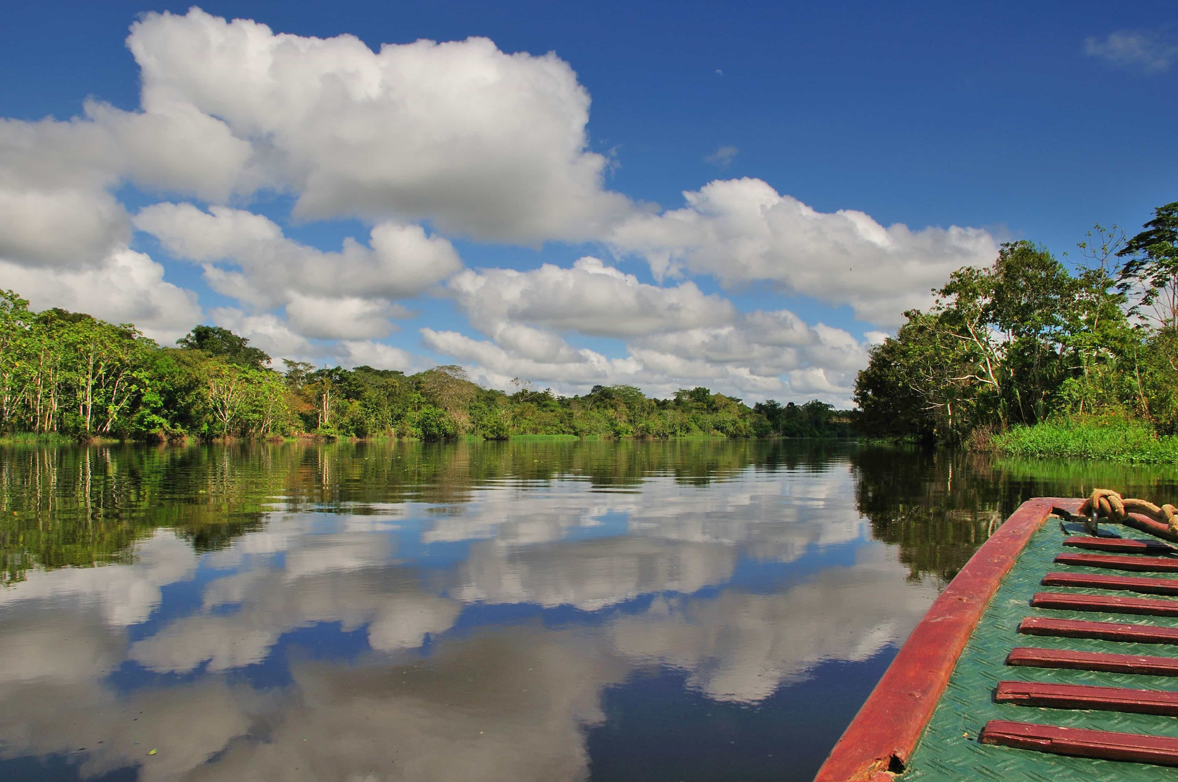 Lodge in the Jungle of Pacaya Samiria 3 Day Tour in Iquitos