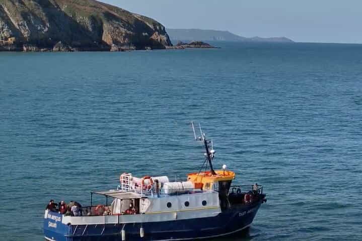 Howth Cliffs and Ireland's Eye Boat Tour