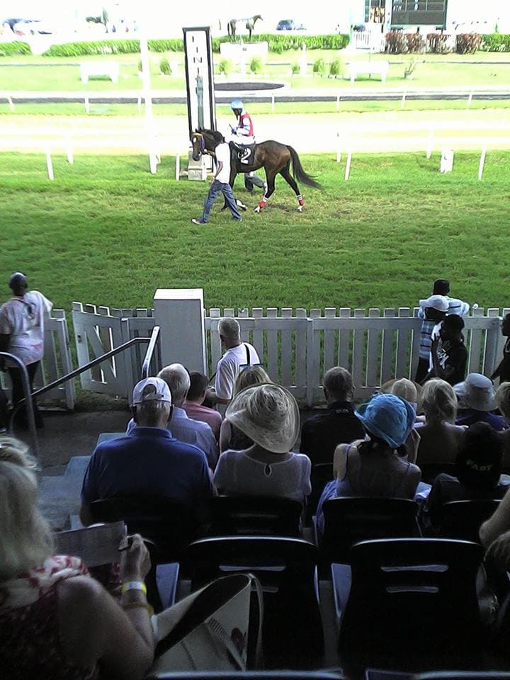Horse Racing Experience at the Garrison