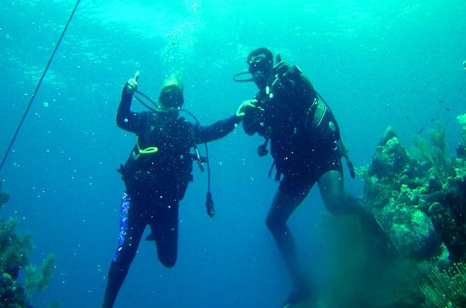 2 Tank Roatan Fun Dive, Boat Sightseeing Tour, including ground transportation