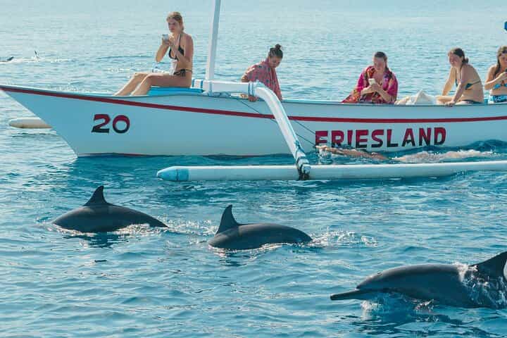 North Bali Expedition: See Dolphins, Hot Springs & Wanagiri Hills