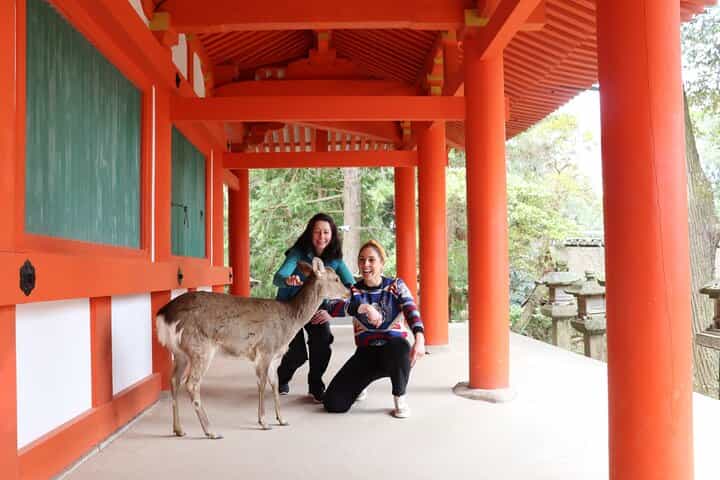 Private Nara Tour and Sake Tasting (Departing from Kyoto/Nara)