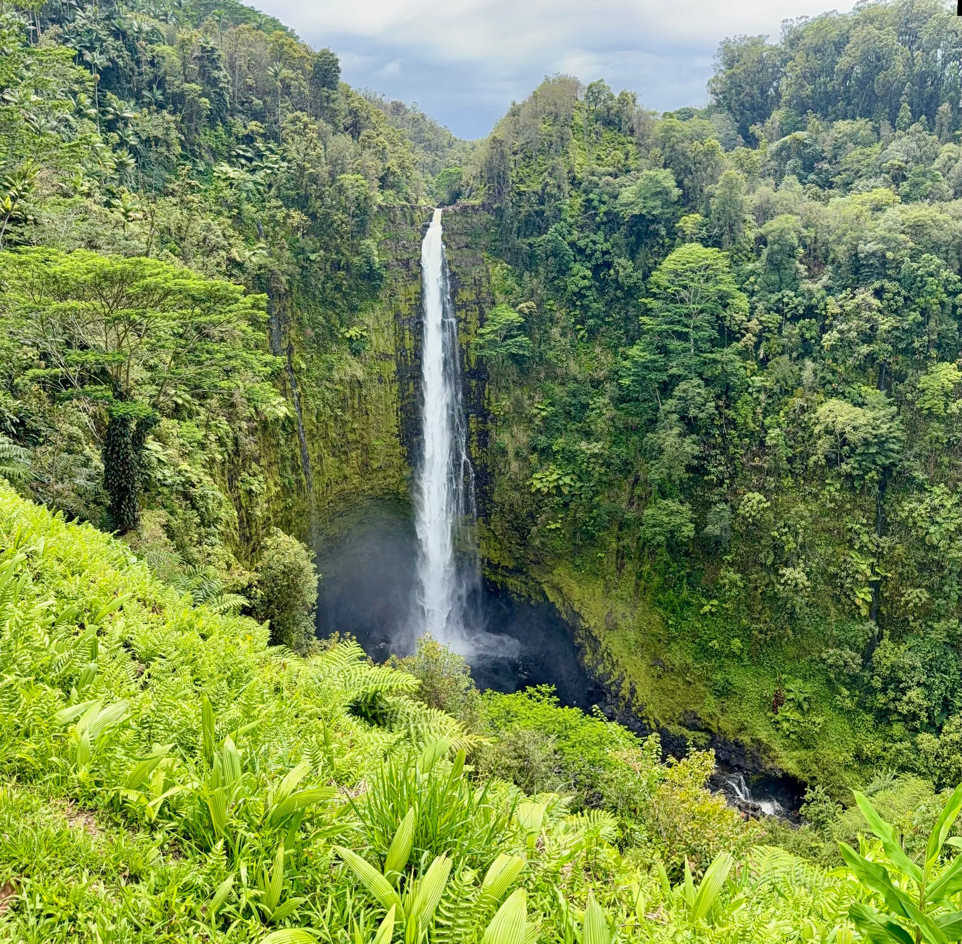 PM: Tropical Forests, 'Akaka Falls, Black Sand Beaches & Sea Turtles