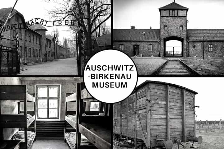 Auschwitz-Birkenau Guided Tour or Private Transfer from Krakow