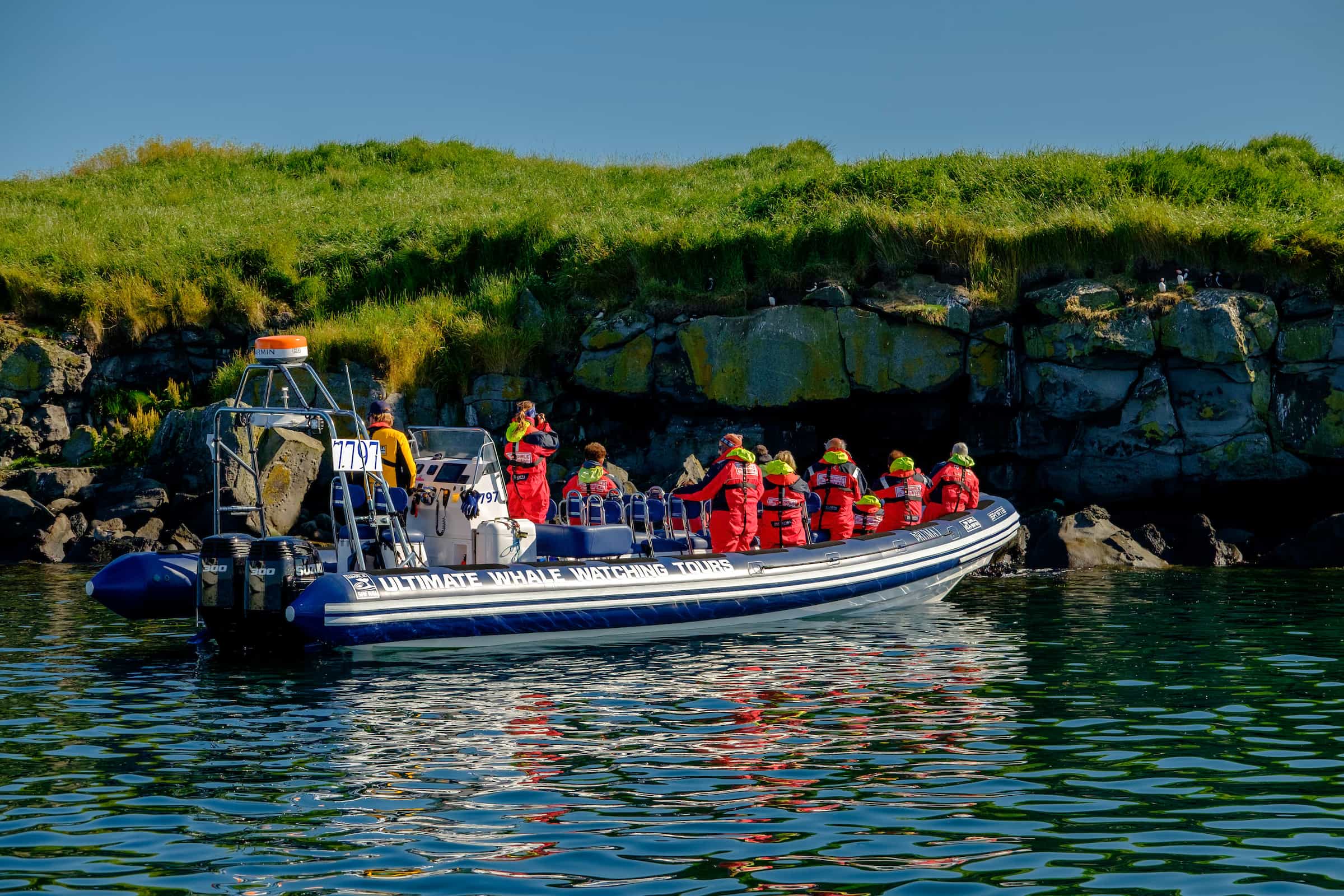 Premium Puffin Tour