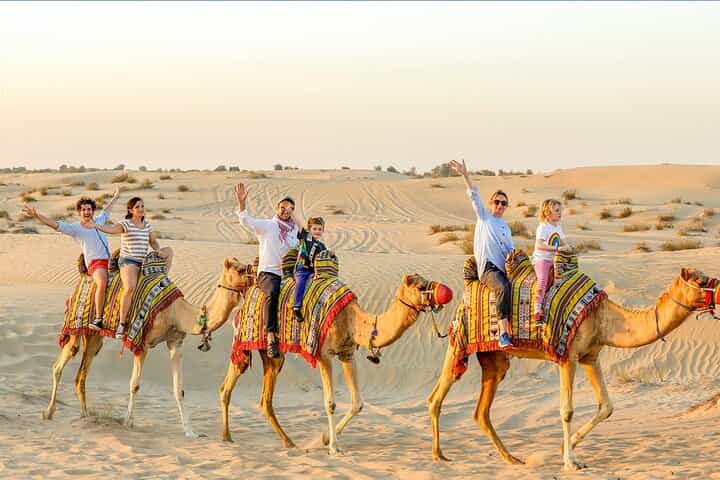 Private Dubai Layover Tour: Explore Top City Highlights