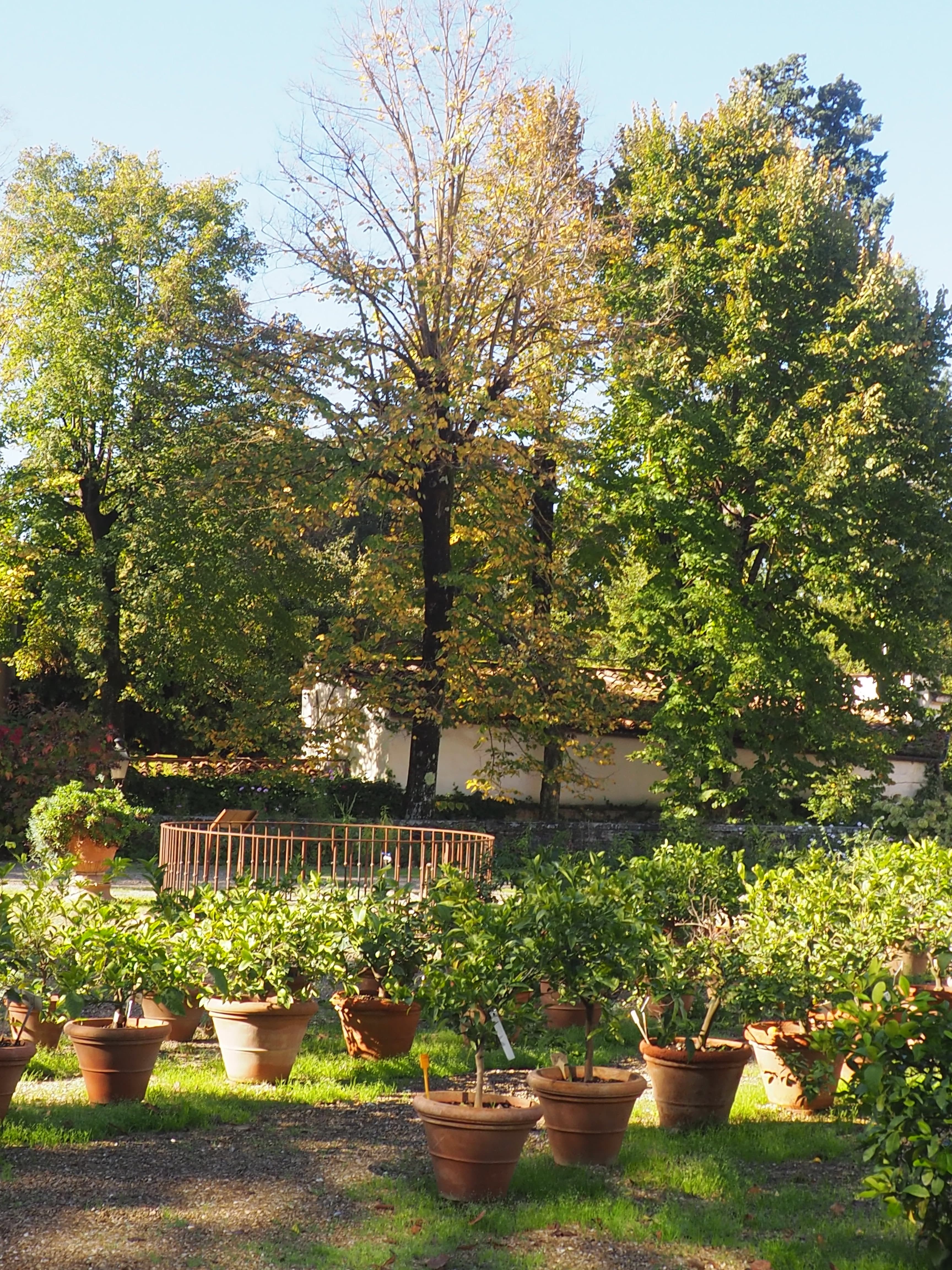 Florence: Boboli Gardens Reserved Entry Ticket & Multilingual eBook