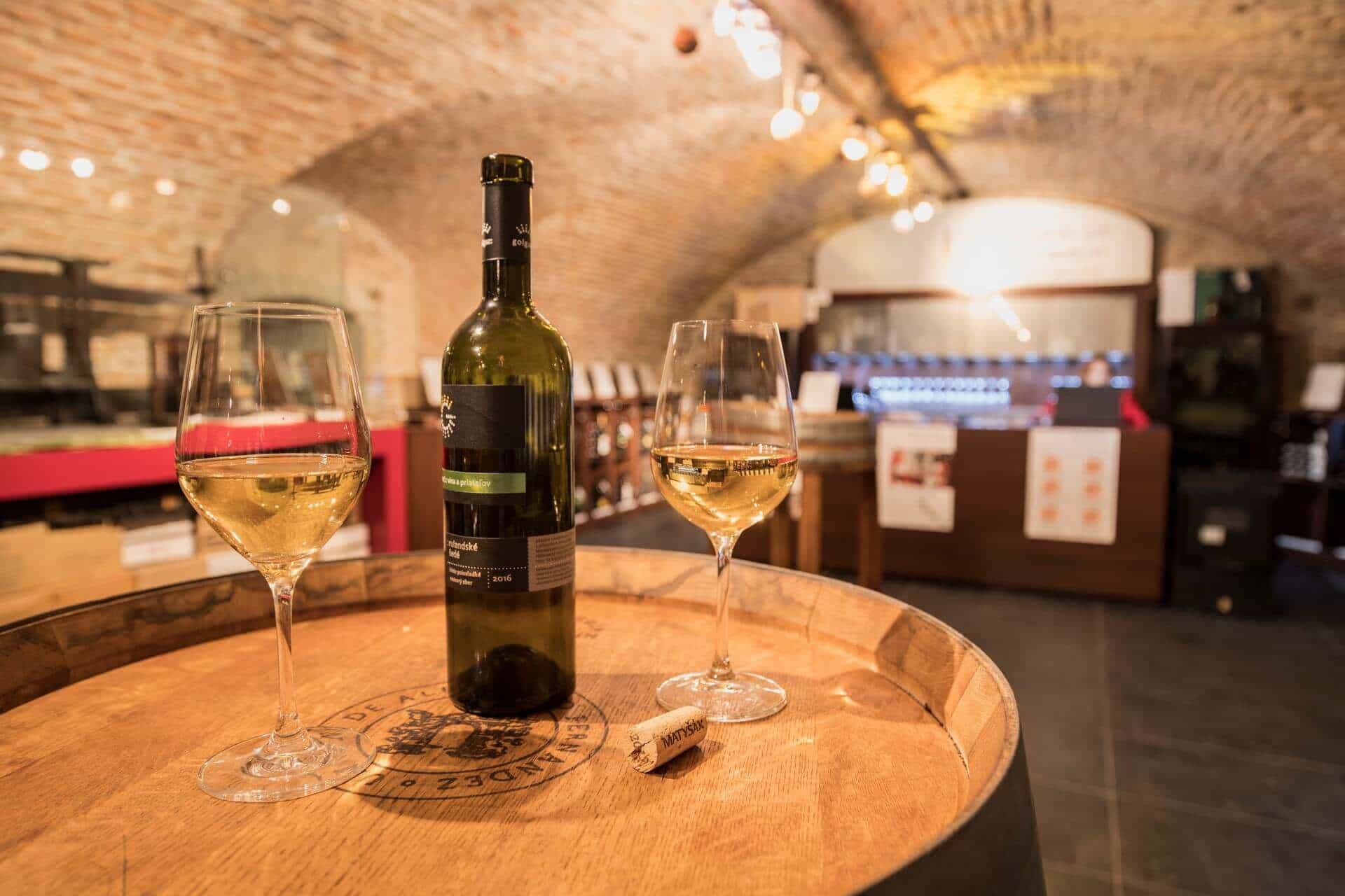 From Vienna: Culinary Day Trip to Bratislava