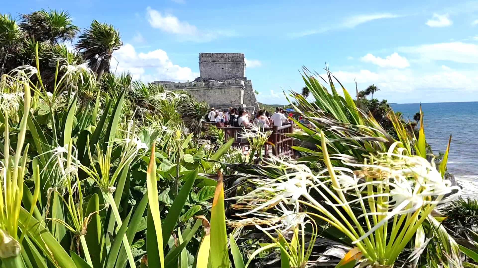 Private Tour: 2 Mayan cities in one day, Tulum and Coba