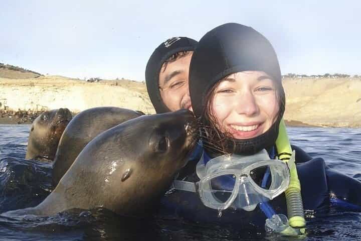 Snorkeling with Sea Lions in Puerto Madryn