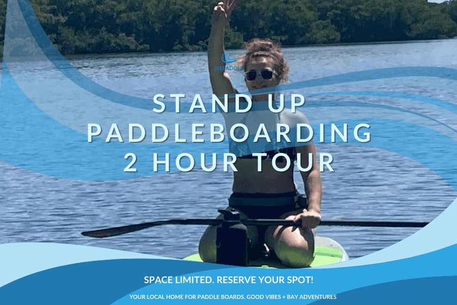 Stand-Up Paddleboarding 2 hour tour