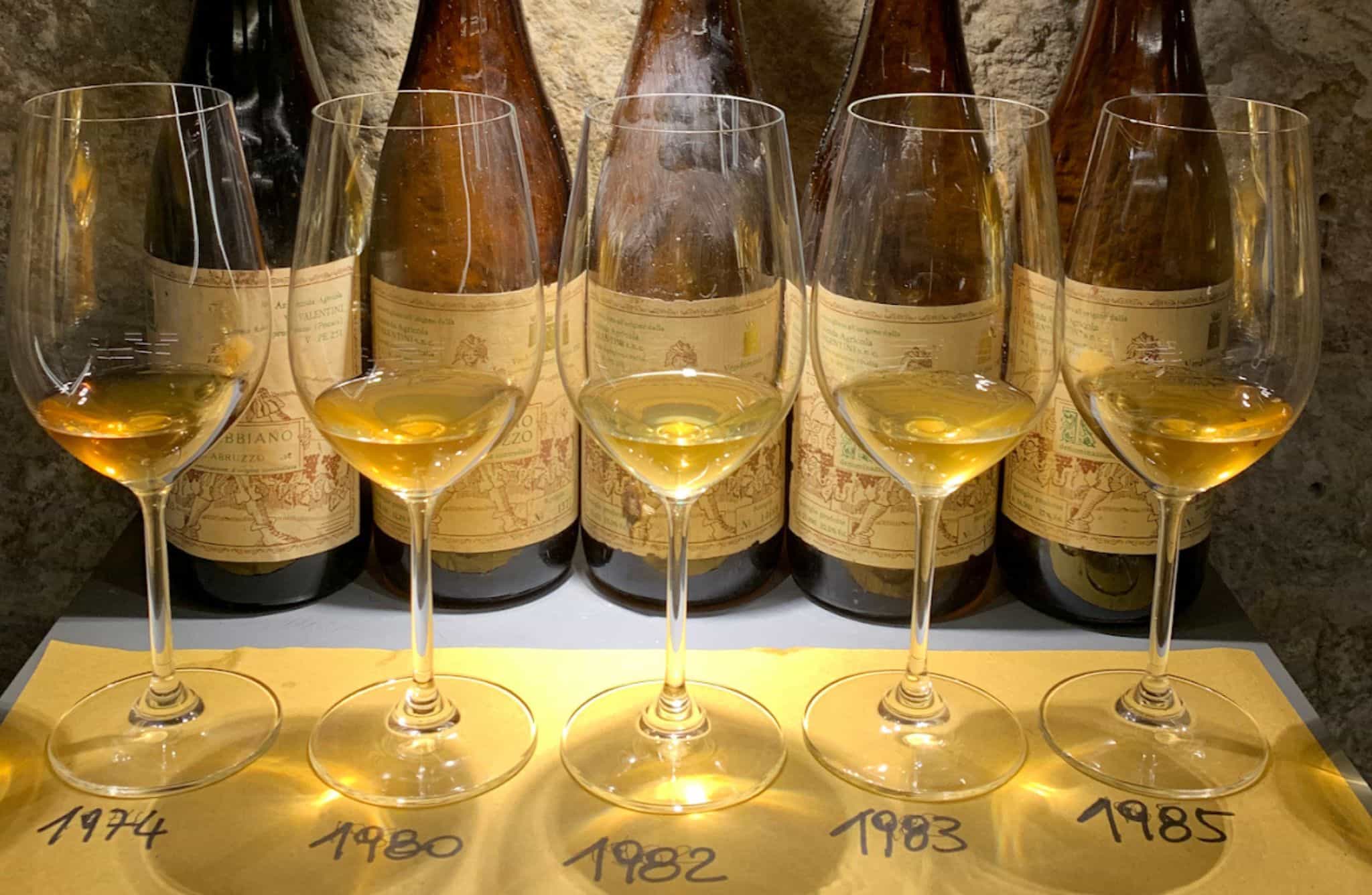 Wine Tasting with Local Bites in Pisa near the Tower