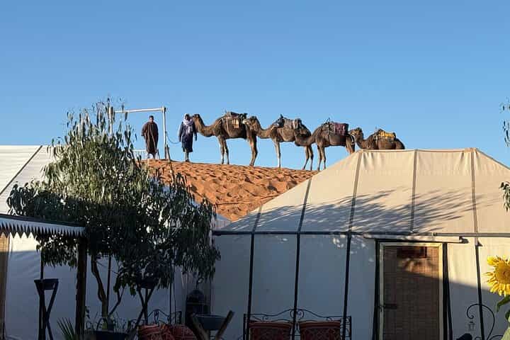 Private Fes to Fes Desert tour 2 Days with luxury camps
