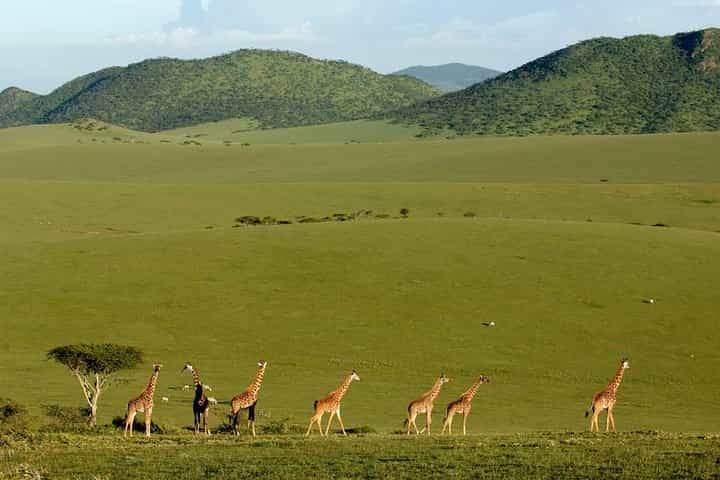 3 Days Maasai Mara Safari from Mombasa