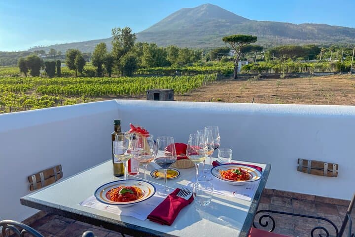 Organic Wine Tasting & Lunch on Vesuvius with Transfer from Pompeii