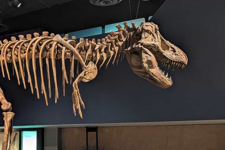 Badlands Guided Small Group Tour: Calgary to Drumheller Dinosaurs