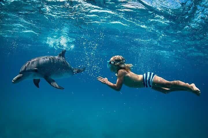 Dolphin House Full Day Snorkeling Cruise With Lunch – Hurghada