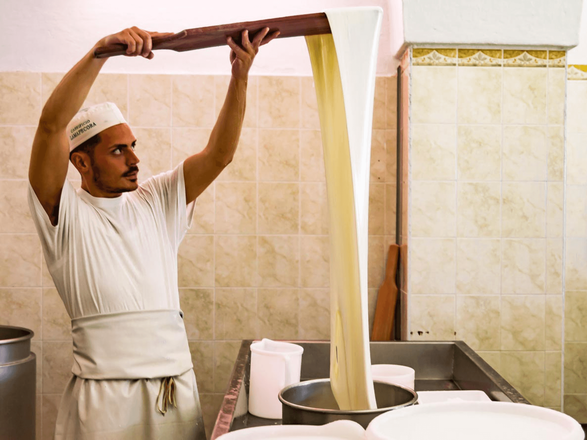 Mozzarella Making Show and Dairy Farm visit in Fasano, Brindisi
