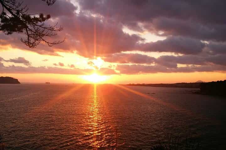 Full-Day Private South and West of Jeju Island Taxi Tour