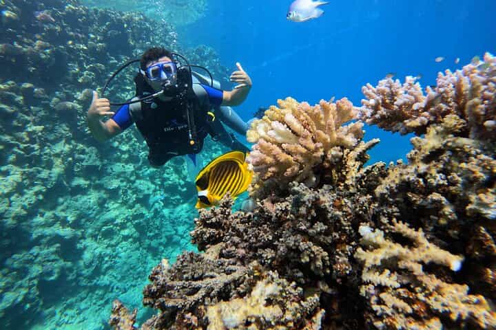 Scuba Diving Discovery Experience