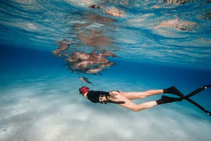 Snorkeling at Sataya Dolphin House With Lunch - Marsa Alam