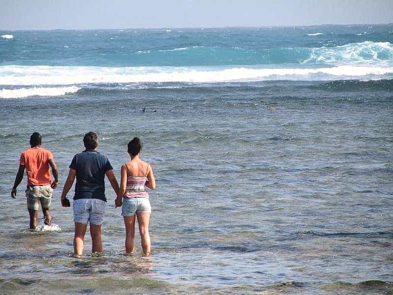 Shark bay and Salt Lakes