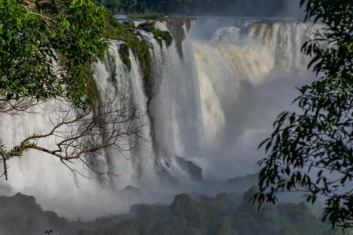Bird Park & Iguassu Brazilian Side Gran Meliá Hotel Exclusive - Private Tour