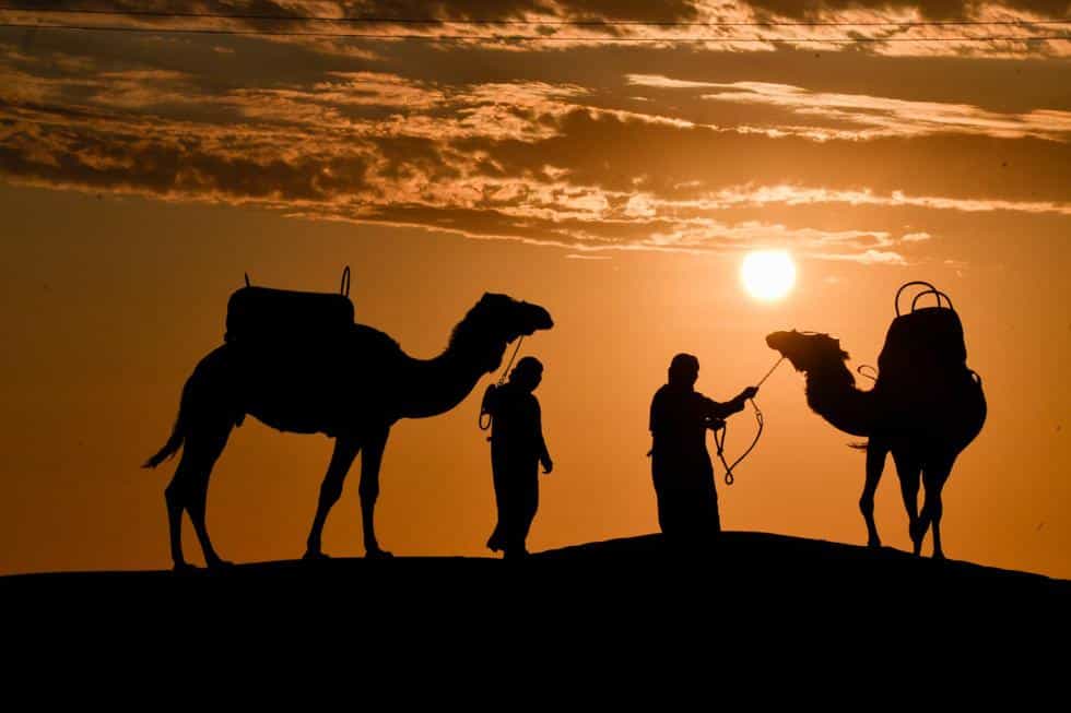 Ica-04 : Camel Ride - Unforgettable Desert Experience