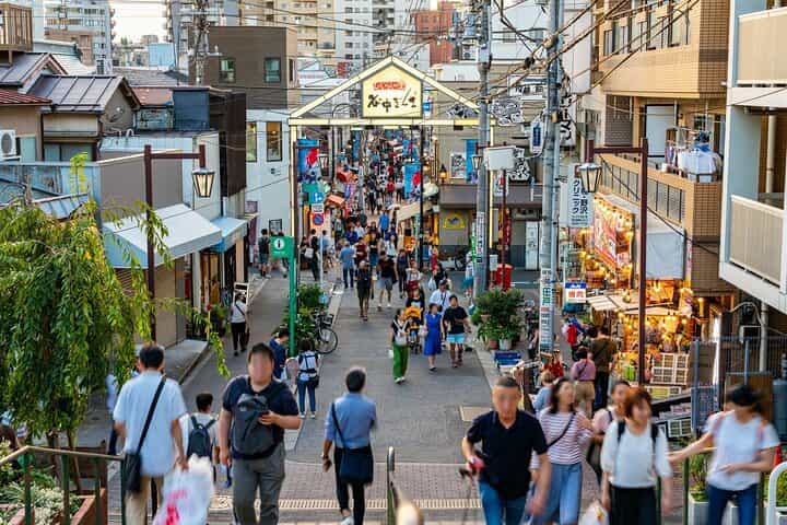 Tokyo: Yanaka Historic Streets Guided Tour & Asakura Museum Visit
