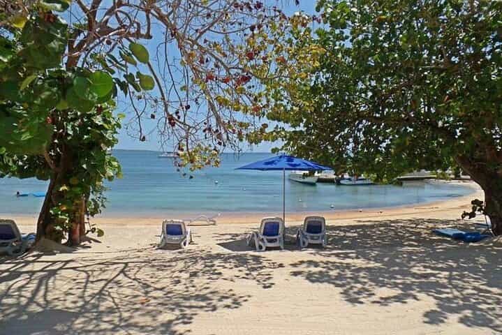 Private Airport Transfer to Hedonism ll Resort