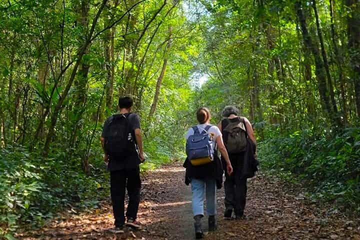 Full-Day Trekking: Explore Cat Ba National Park, Viet Hai Village
