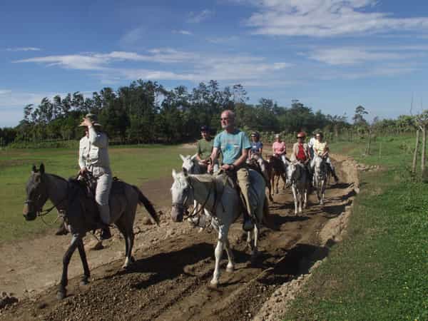 Buena Vista Combo: Day Pass Including Lunch