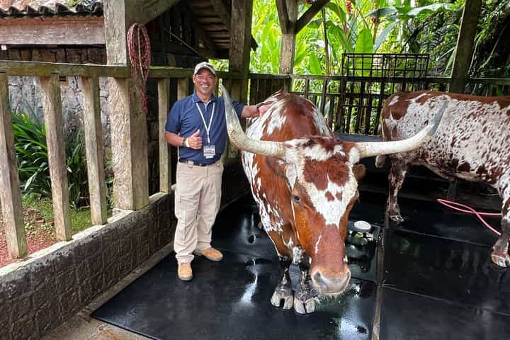 Explore Poas Volcano Waterfall and Coffee Brew Experience