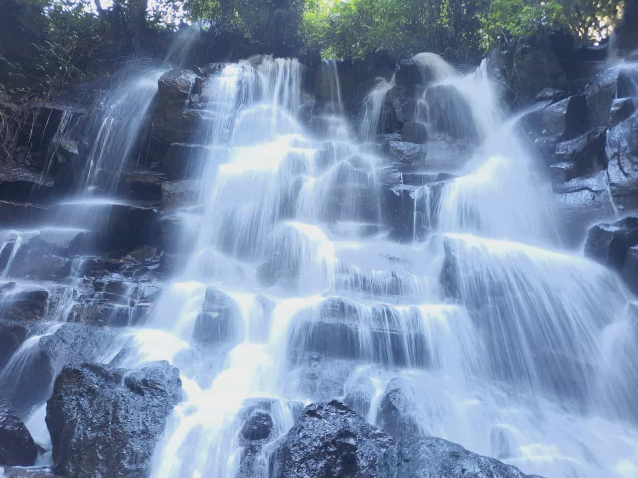 Trekking and Tegallalang Rice Terace Field Including Waterfall Ubud Tour