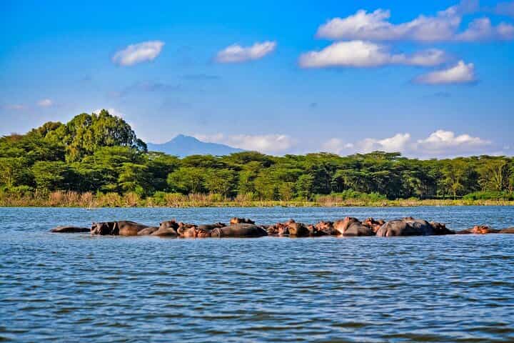 4-Day Masai Mara, L Naivasha and L Nakuru Safari