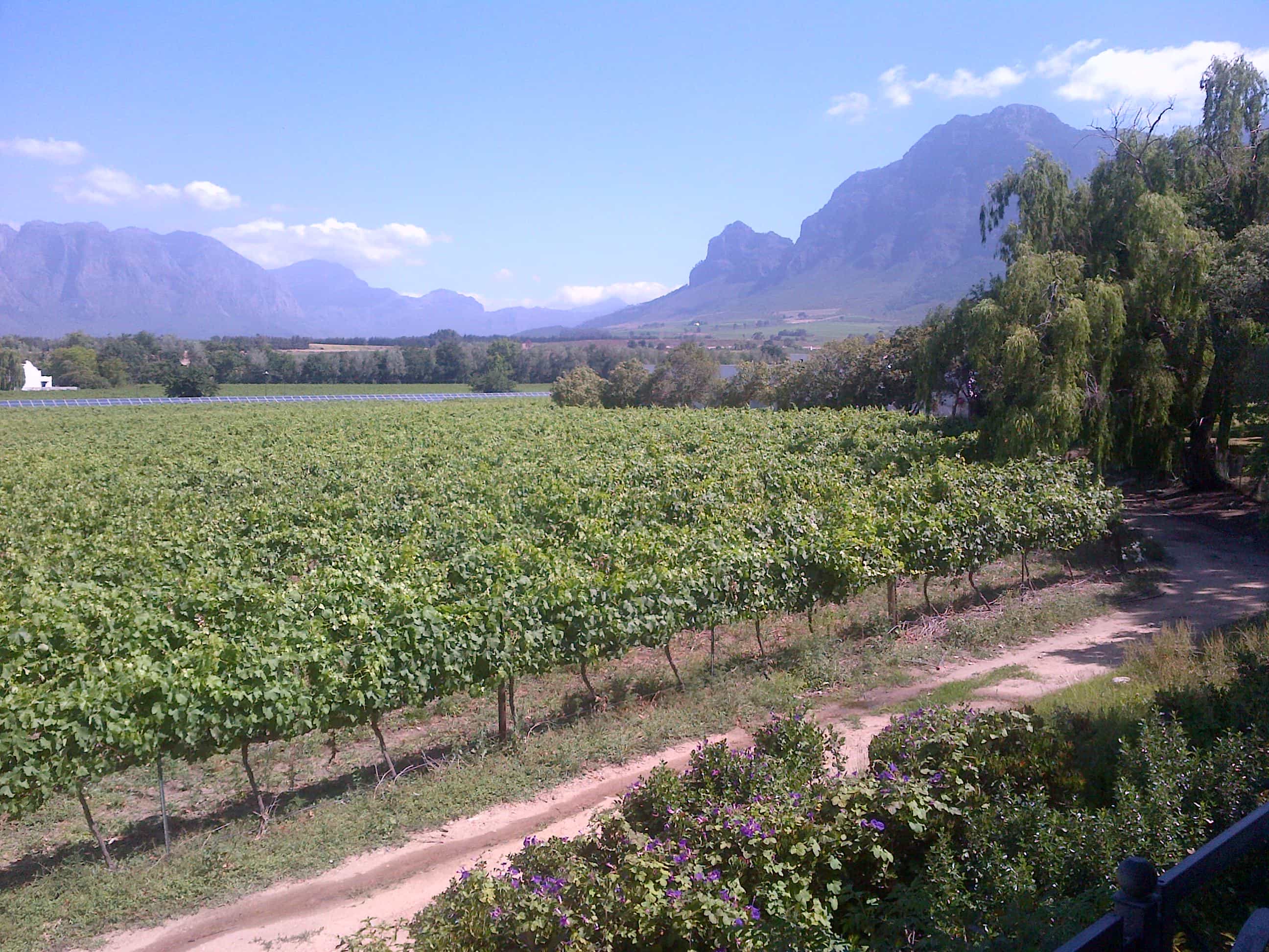 PRIVATE CAPE TOWN BASED STELLENBOSCH WINELANDS FULL DAY FLEXABLE TOUR FOR SMALL PARTIES