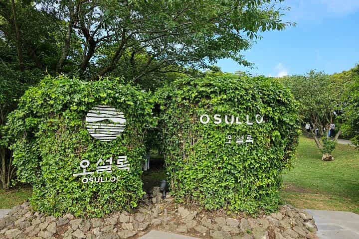 JEJU Day Tour (West & South) - Depart Airport , Finish anywhere