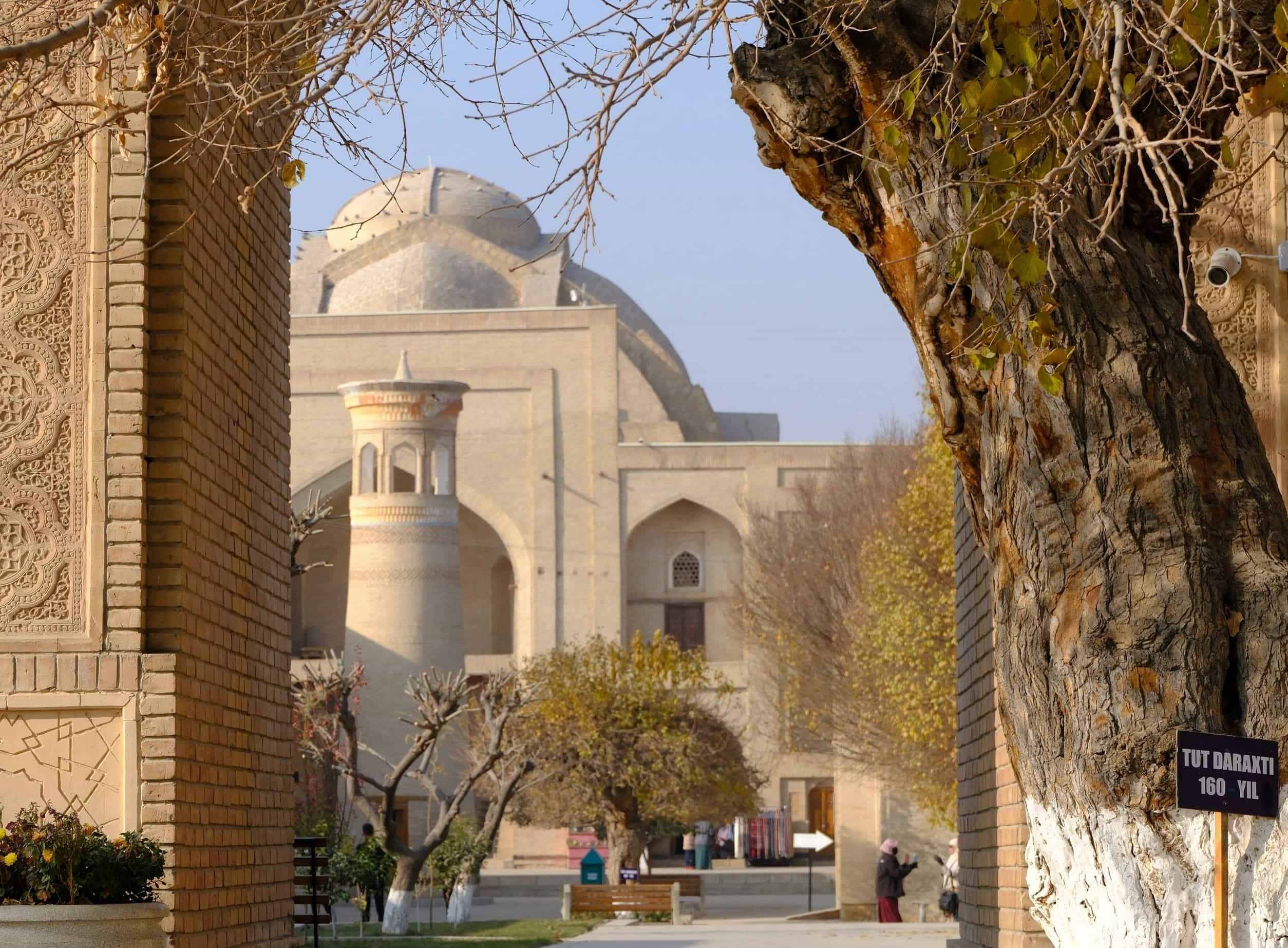 Uzbekistan 6 days private tour Tas-Khiva-Buk-Sam-Tas