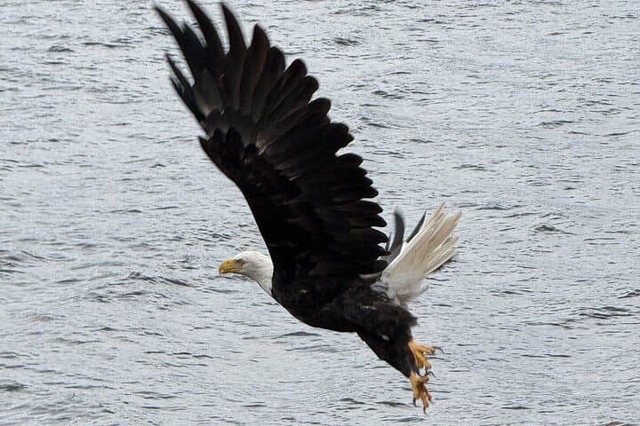 Private Van Beach and Wildlife Tour