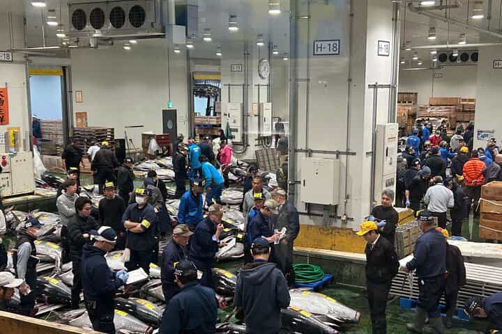 Private: Morning Market Adventure, Toyosu & Tsukiji with Tuna Auction