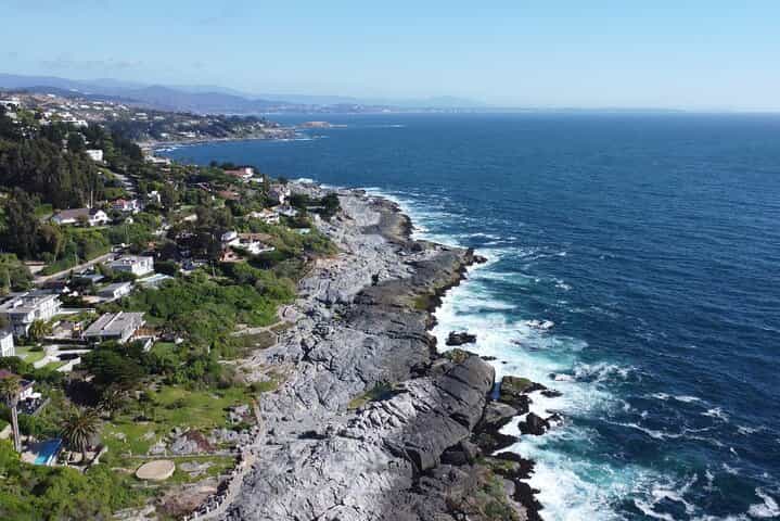 Sea Lions Humboldt Penguins and Horseback Riding in Papudo