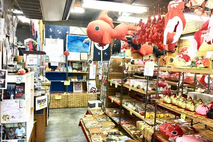 Full-Day Goldfish Unique Experience in Yamato-Koriyama